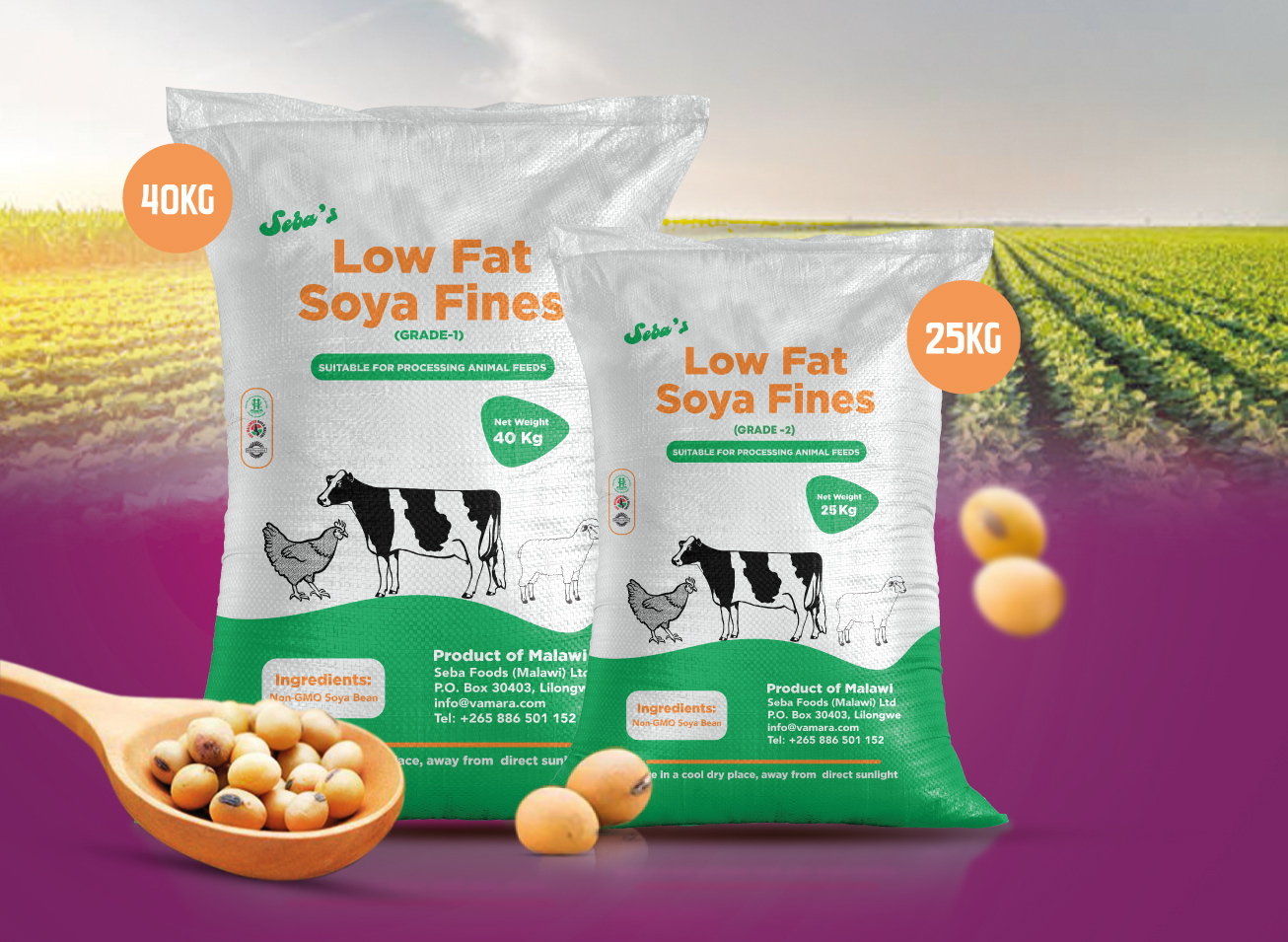 Low Fat Soya Fines (Grade-1 & 2)
