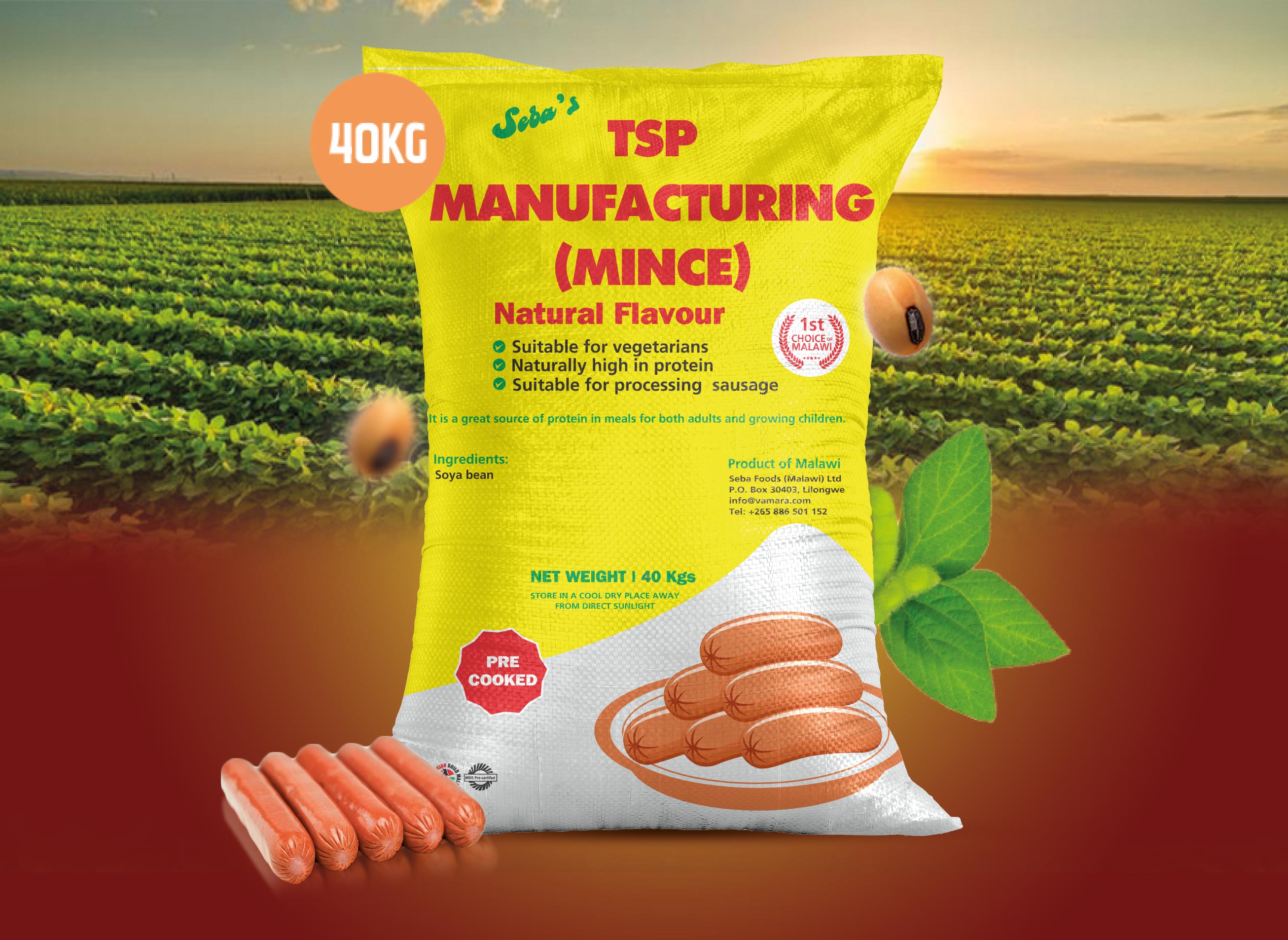 Seba's TSP Manufacturing (Mince)